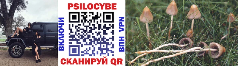 Галлюциногенные грибы Psilocybine cubensis как найти закладки Нерчинск