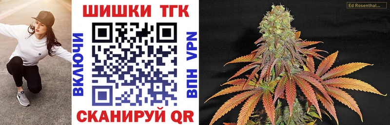 купить наркотики цена  Нерчинск  Бошки марихуана сатива 